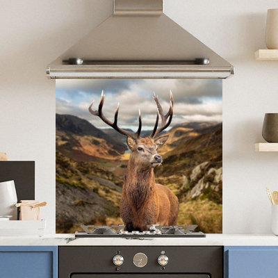 Choose Your Print Premium 70 X 65Cm Stunning Stag 6mm Glass Toughened Kitchen SplashbackHeat Resistant Polished Edges from B&Q