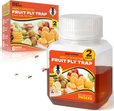 Fruit Fly Traps Indoor For Home Use Odor Free from B&Q