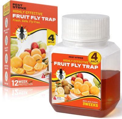 Fruit Fly Traps Indoor For Home Use Odor Free from B&Q