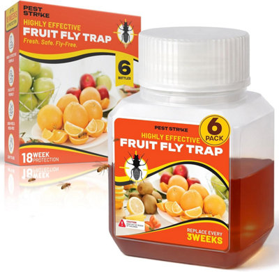 Fruit Fly Traps Indoor For Home Use Odor Free from B&Q