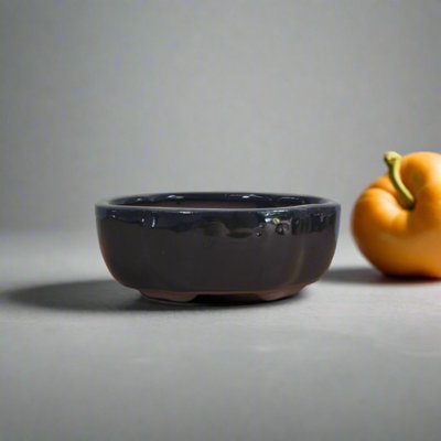 Yorkshire Bonsai 12Cm Glazed Bonsai Pot Floral 12Cm X 10Cm X 5Cm Black from B&Q
