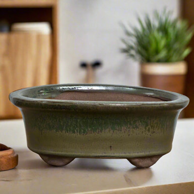 Yorkshire Bonsai 12Cm Glazed Bonsai Pot Oval 12Cm X 10Cm X 5Cm Green from B&Q