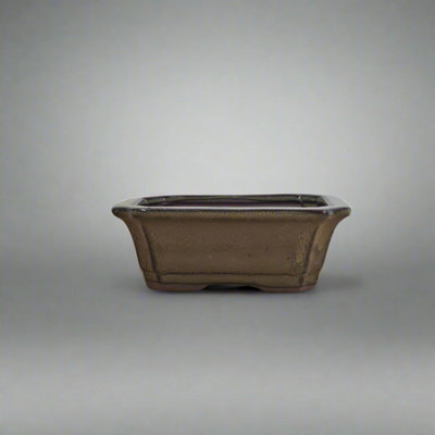 12Cm Glazed Bonsai PotRectangle12Cm X 10Cm X 4CmGreen from B&Q