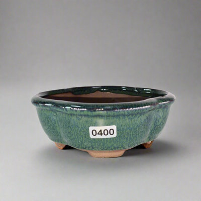 13Cm Glazed Bonsai PotFloral13Cm X 10Cm X 5CmGreen from B&Q