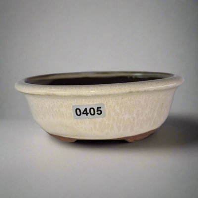 13Cm Glazed Bonsai PotOval13Cm X 10Cm X 5CmWhite from B&Q