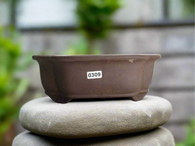 20Cm Unglazed Bonsai PotFloral20Cm X 17Cm X 8CmBrown from B&Q