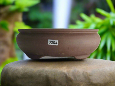 20Cm Unglazed Bonsai PotOval20Cm X 17Cm X 7CmBrown from B&Q