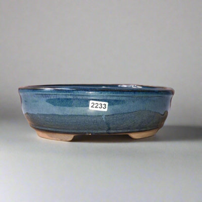 21Cm Glazed Bonsai PotOval21Cm X 16Cm X 7CmBlue from B&Q