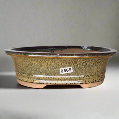 21Cm Glazed Bonsai PotOval21Cm X 17Cm X 6CmGreen from B&Q