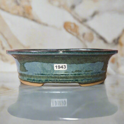 21Cm Glazed Bonsai PotOval21Cm X 17Cm X 6CmGreen from B&Q