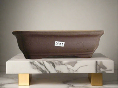 21Cm Unglazed Bonsai PotRectangle21Cm X 16Cm X 6CmBrown from B&Q