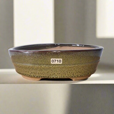 22Cm Glazed Bonsai PotOval22Cm X 16Cm X 7CmGreen from B&Q