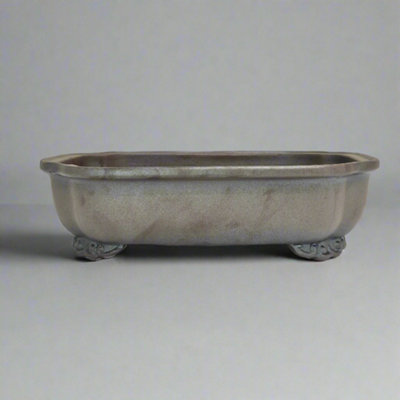 23Cm Premium Unglazed Bonsai PotRectangle23Cm X 18Cm X 7CmBrown from B&Q