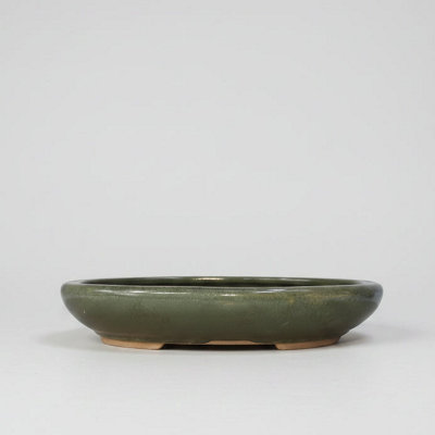  - Yorkshire Bonsai 25Cm Glazed Bonsai Pot Oval 25Cm X 18Cm X 4.5Cm Green