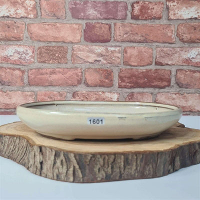  - Yorkshire Bonsai 25Cm Glazed Bonsai Pot Oval 25Cm X 18Cm X 4.5Cm White
