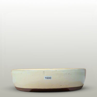 26Cm Glazed Bonsai PotOval26Cm X 22Cm X 6.5CmWhite from B&Q