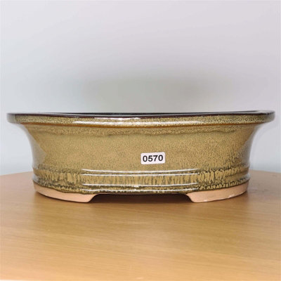 27Cm Glazed Bonsai PotOval27Cm X 22Cm X 8CmGreen from B&Q
