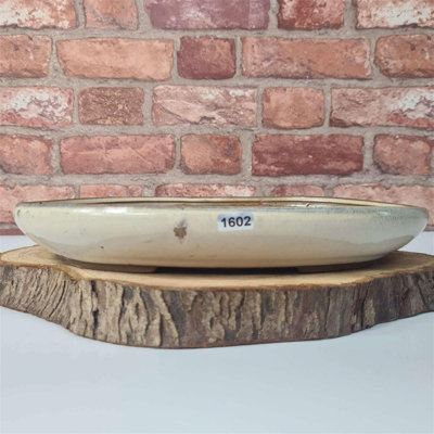  - Yorkshire Bonsai 31Cm Glazed Bonsai Pot Oval 31Cm X 22Cm X 4.5Cm White