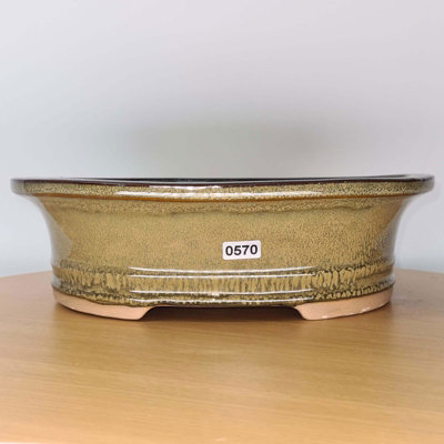 31Cm Glazed Bonsai PotOval31Cm X 25Cm X 9CmGreen from B&Q