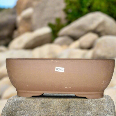 31Cm Unglazed Bonsai Pot Oval31Cm X 25Cm X 10CmRectangleBrown from B&Q