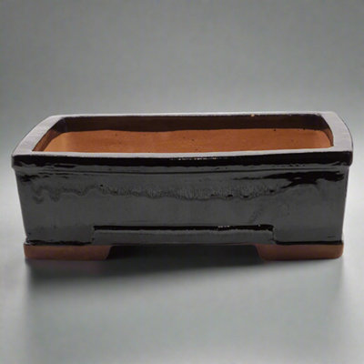 26Cm Glazed Bonsai PotRectangle26Cm X 20Cm X 9CmBlack