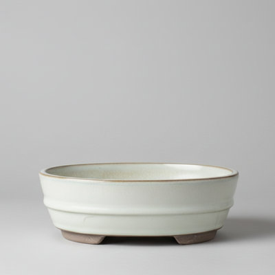 Yorkshire Bonsai 16Cm Glazed Bonsai Pot Oval 16Cm X 12Cm X 3Cm White from B&Q