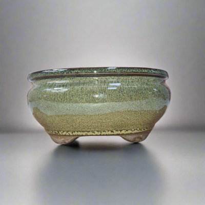 Yorkshire Bonsai 16Cm Glazed Bonsai Pot Oval 16Cm X 13Cm X 6Cm Green from B&Q