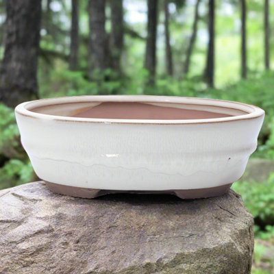Yorkshire Bonsai 18Cm Glazed Bonsai Pot Oval 18Cm X 15Cm X 5Cm White from B&Q