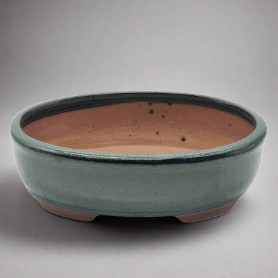 Yorkshire Bonsai 18Cm Glazed Bonsai Pot Oval 18Cm X 15Cm X 5Cm Green from B&Q