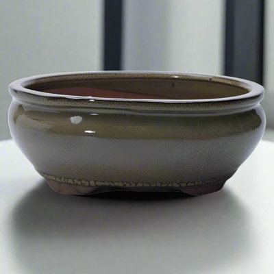 Yorkshire Bonsai 20Cm Glazed Bonsai Pot Oval 20Cm X 16Cm X 6Cm Green from B&Q