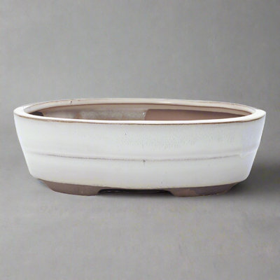 Yorkshire Bonsai 20Cm Glazed Bonsai Pot Oval 20Cm X 17Cm X 5Cm White from B&Q