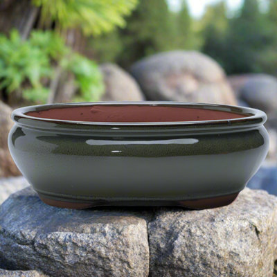 Yorkshire Bonsai 26Cm Glazed Bonsai Pot Oval 26Cm X 20Cm X 6Cm Green from B&Q