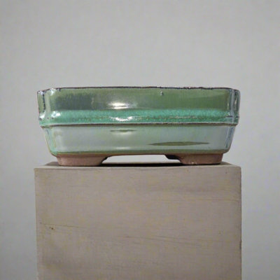 Yorkshire Bonsai 16Cm Glazed Bonsai Pot Rectangle 16Cm X 13Cm X 4Cm Green from B&Q