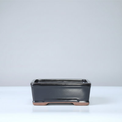 Yorkshire Bonsai 16Cm Glazed Bonsai Pot Rectangle 16Cm X 13Cm X 6Cm Black from B&Q
