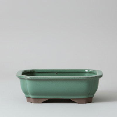 Yorkshire Bonsai 18Cm Glazed Bonsai Pot Rectangle 18Cm X 14Cm X 4Cm Green from B&Q