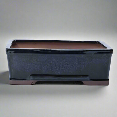 Yorkshire Bonsai 20Cm Glazed Bonsai Pot Rectangle 20Cm X 15Cm X 6Cm Black from B&Q
