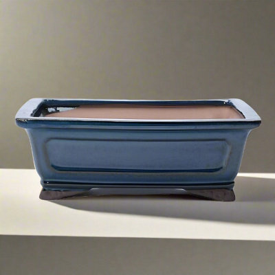 Yorkshire Bonsai 20Cm Glazed Bonsai Pot Rectangle 20Cm X 17Cm X 6Cm Blue from B&Q