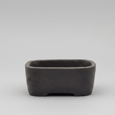 Yorkshire Bonsai Unglazed Bonsai Pot Rectangle 16Cm X 12Cm X 5Cm from B&Q