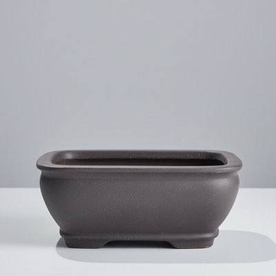 Yorkshire Bonsai Unglazed Bonsai Pot Rectangle 16Cm X 12Cm X 5Cm from B&Q