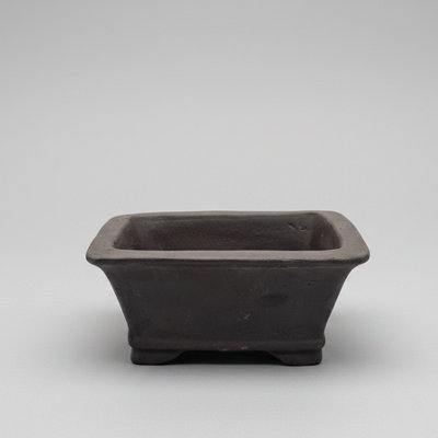Yorkshire Bonsai Unglazed Bonsai Pot Rectangle 16Cm X 12Cm X 5Cm from B&Q