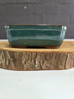 Yorkshire Bonsai 12Cm Glazed Bonsai Pot Rectangle 12Cm X 10Cm X 5Cm Light Blue from B&Q