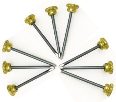 Sisi UK 20 Hardened Picture Pins 25mm Long With Knurled Brass Head Extra Tough For Secure Wall Hanging from B&Q