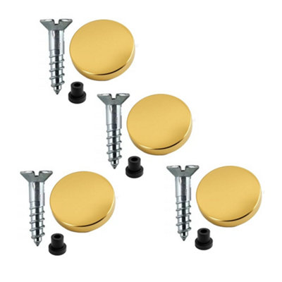 Sisi UK 19mm Zinc Mirror Screws Pack Of 4 With Rubber Washers And 13mm Polished Brass Flat Decorative Caps from B&Q