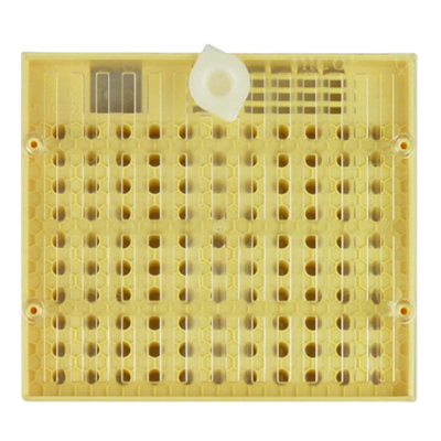 Hagens Beekeeping Qr105 Cupularva Queen Cell Grid from B&Q