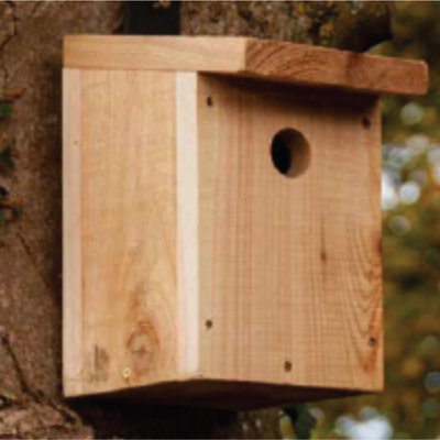 Hagens Rustic Nest Box Made In England Fsc Certified from B&Q