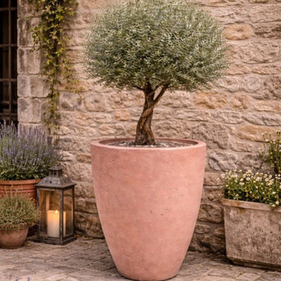 Jōbū Jobu Home100Cm Xxl Concrete Vase Planter For Statement Trees172L VessaraBlushstone (Pink Beige Terracotta) from B&Q