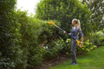Found it product image.