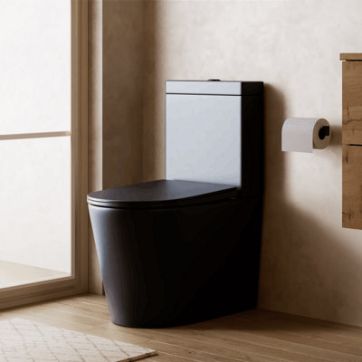 Banyetti Scene Rimless Close Coupled Back To Wall ToiletMatt Black from B&Q