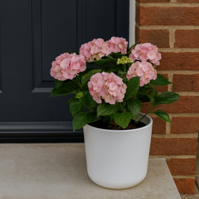 Fargro Home And Garden Egg Round Planter White Polystone Outdoor Plant Pot 25Cm X 25Cm 9L Small from B&Q