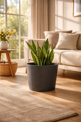 Fargro Home And Garden Bucket Round Planter Light Grey Polystone Outdoor Plant Pot 32Cm X 26Cm 16L Small from B&Q